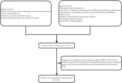 Efficacy and intrarenal pressure analysis of flexible and navigable suction ureteral access sheaths with flexible ureteroscopy in modified surgical positions for 2–6 cm upper urinary tract stones: a multicenter retrospective study